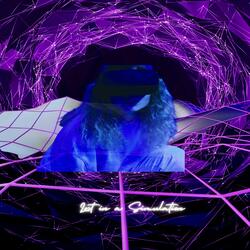 Lost in a simulation