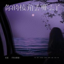 你的棱角丢去哪了