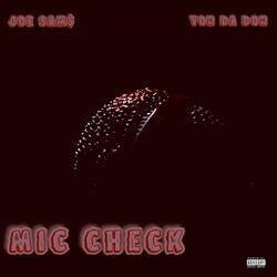 Mic Check
