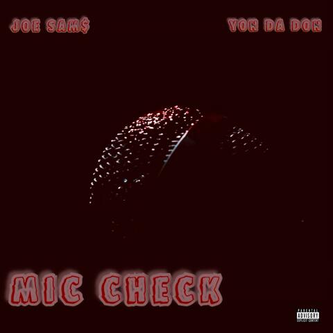 Mic Check