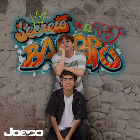 Secreto en el Barrio