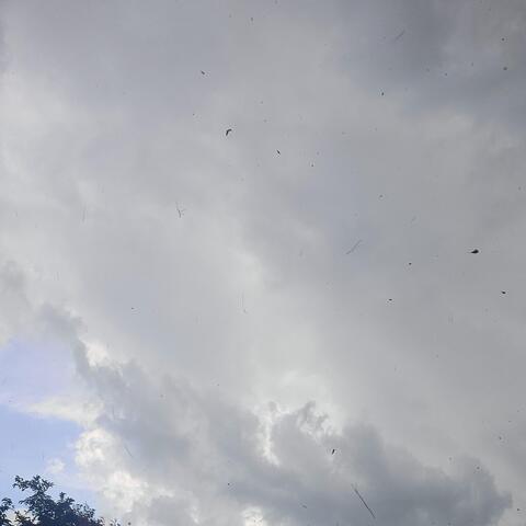 Sexy Robot Diss Track