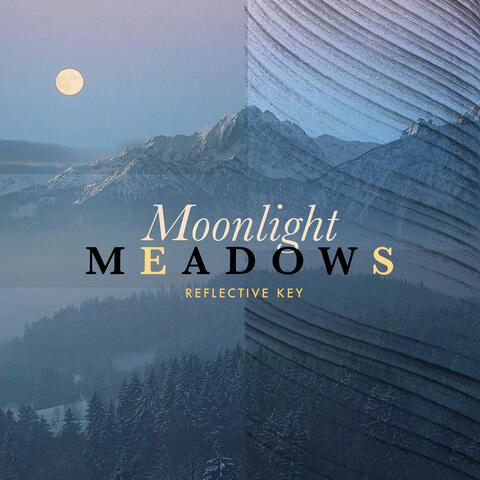 Moonlight Meadows