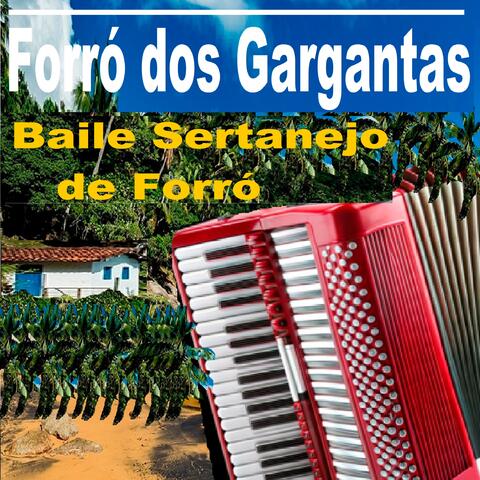 Baile Sertanejo de Forró