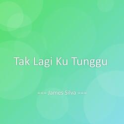 Tak Lagi Ku Tunggu