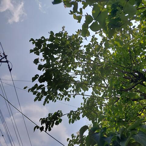 届かない