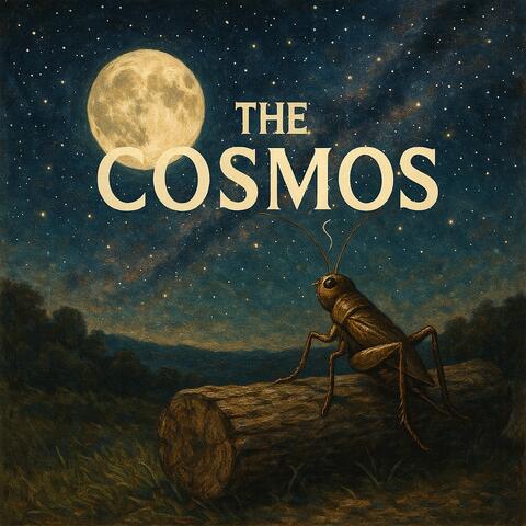 The Cosmos