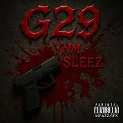 G29