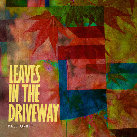 Leaves in the Driveway