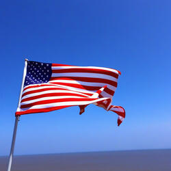 Fourth of July, freedom, freedom