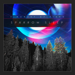 Sparrow Sleep