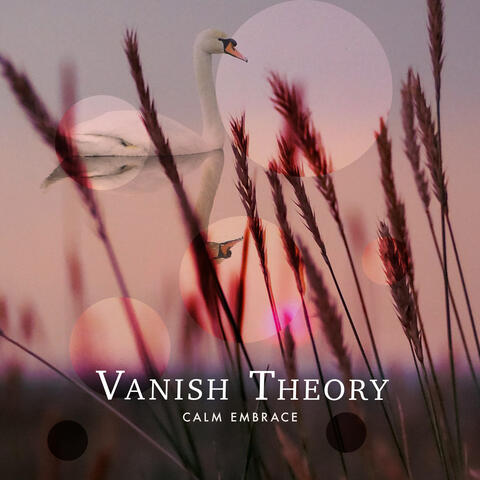 Vanish Theory