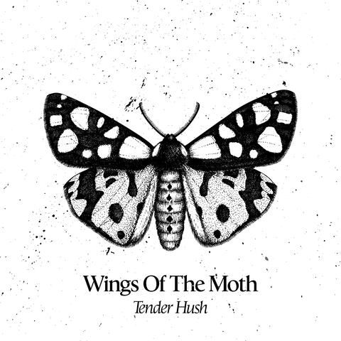 Wings Of The Moth