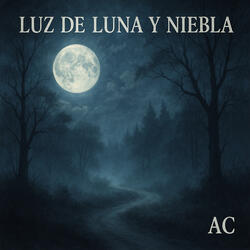 Luz de luna y niebla