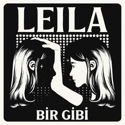 Bir gibi