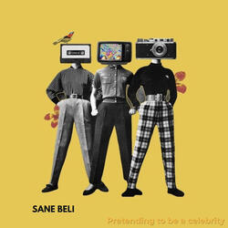 Pretending to be a celebrity