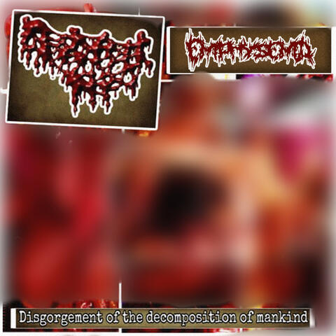 Disgorgement of the Decomposition of Mankind