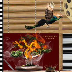 Feel My Hatred For War