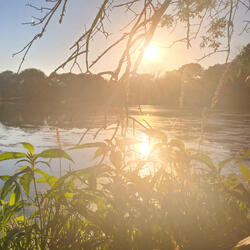 i hate to see you cry