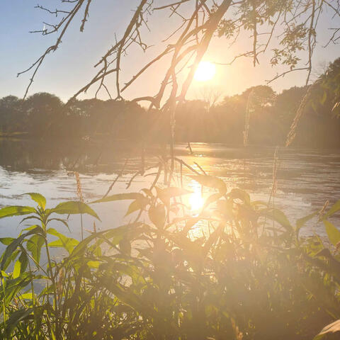 i hate to see you cry