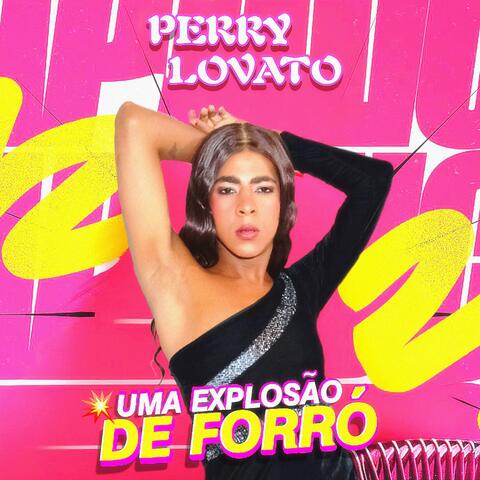Meu Vaqueiro Meu Peão
