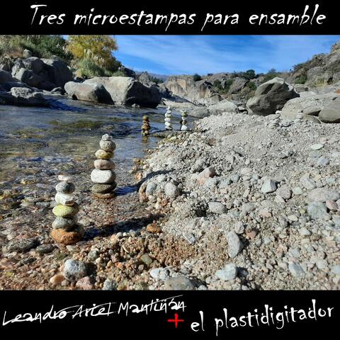 Tres Microestampas para Ensamble