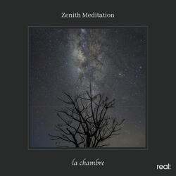 Zenith Meditation
