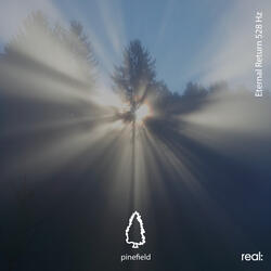 Eternal Return 528 Hz