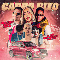 CARRO BIXO