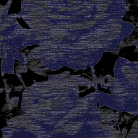 Roses On My,