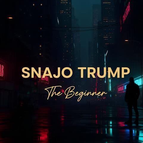 The Beginner