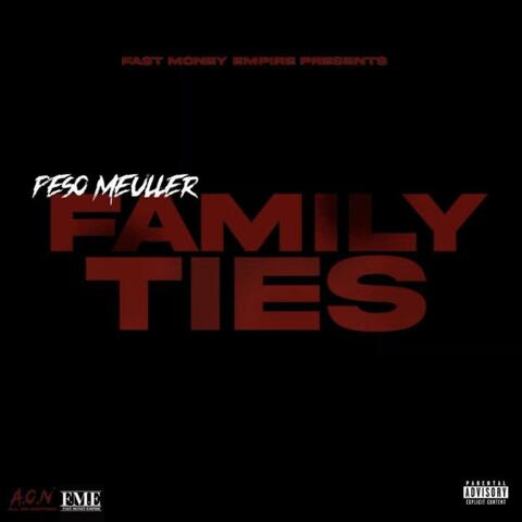 Family Ties The Saga Continues