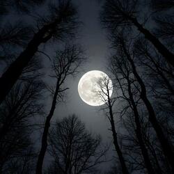 Light in the Darkness