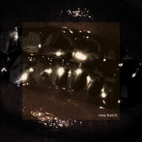 New Batch