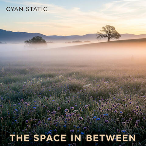 The Space in Between