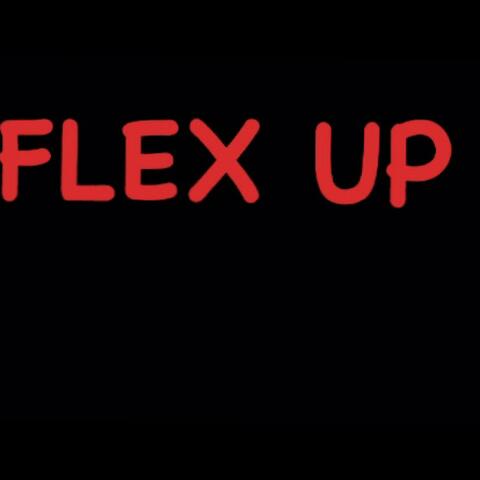 FLEX UP
