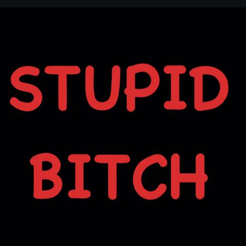 STUPID BITCH