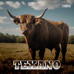 Texano