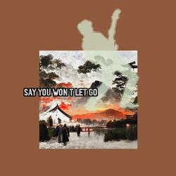 Say You Won't Let Go