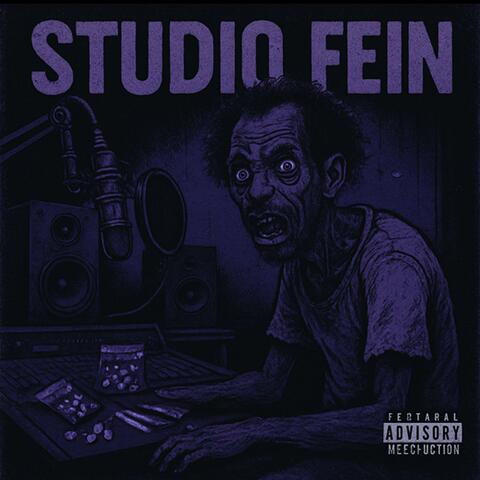 STUDIO FEIN