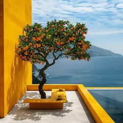 Positive Sunny House