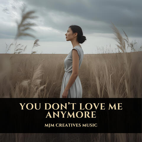 You Don't Love Me Anymore