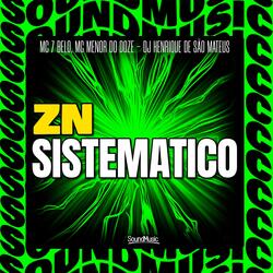 ZN SISTEMATICO