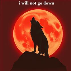 i will not go down