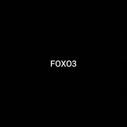 FOXO3