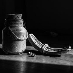 Bohemian Shadows