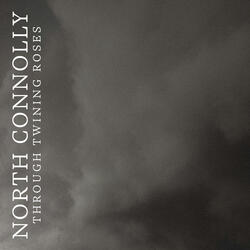 Through Twining Roses