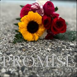 Promise