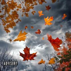 Leaf In The Wind