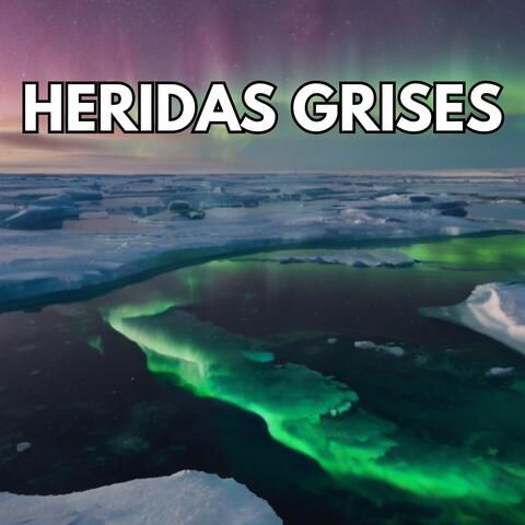Heridas grises